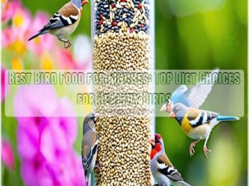 best bird food for finches