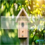 best bird houses for bluebirds