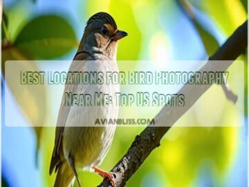 best locations for bird photography near me