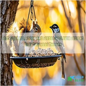 best squirrel proof bird feeder