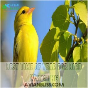 Best Time of Year for Bird Watching