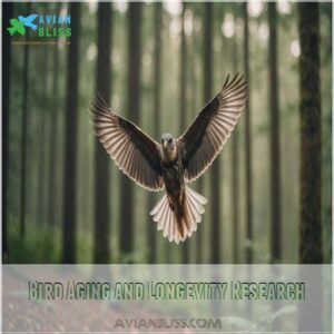 Bird Aging and Longevity Research