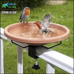 Bird Bath Deck Mounted Bowl