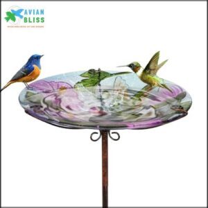 Bird Bath for Outside, Glass