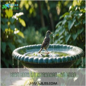 Bird Bath Maintenance and Care