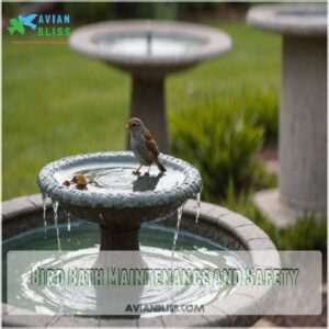 Bird Bath Maintenance and Safety