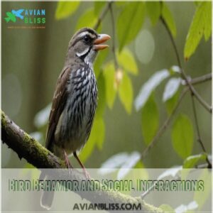 Bird Behavior and Social Interactions