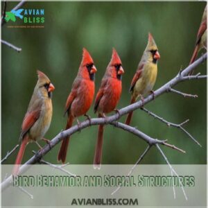 Bird Behavior and Social Structures