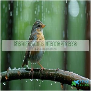 Bird Behavior During Storms