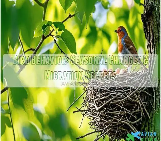 Bird Behavior: Seasonal Changes & Migration Secrets