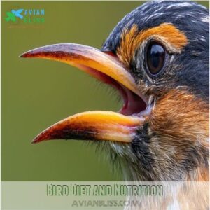 Bird Diet and Nutrition