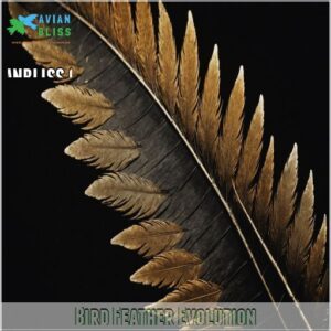 Bird Feather Evolution