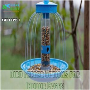 Bird Feeder Options for Indoor Cages