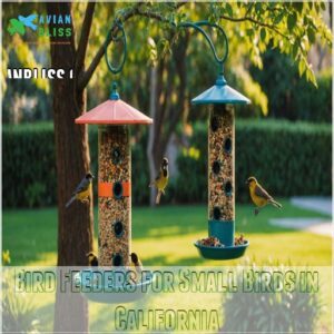 Bird Feeders for Small Birds in California