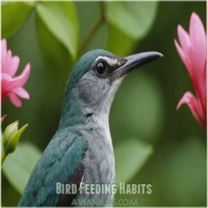 Bird Feeding Habits