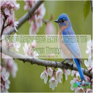 Bird Habitats and Where to Find Them