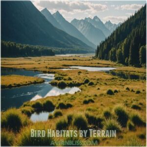 Bird Habitats by Terrain