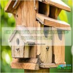 bird house with multiple compartments