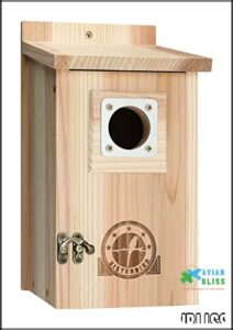 Bird Houses for Outside 1-1/2”