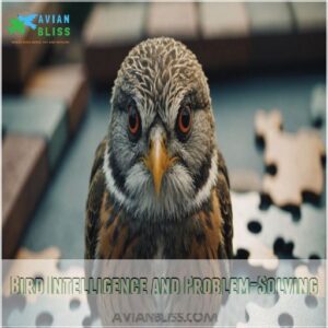 Bird Intelligence and Problem-Solving