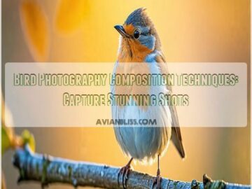 bird photography composition techniques