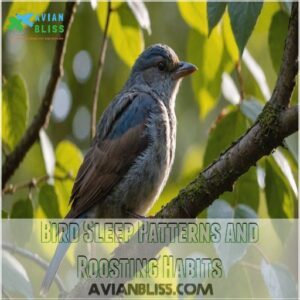 Bird Sleep Patterns and Roosting Habits