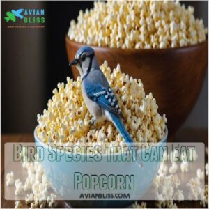 Bird Species That Can Eat Popcorn