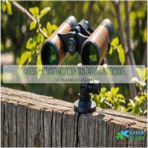 Bird-Watching in California