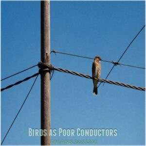 Birds as Poor Conductors