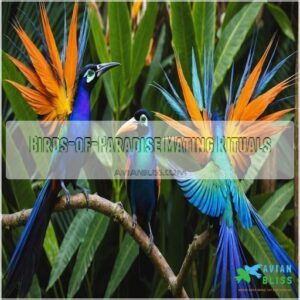 Birds-of-Paradise Mating Rituals