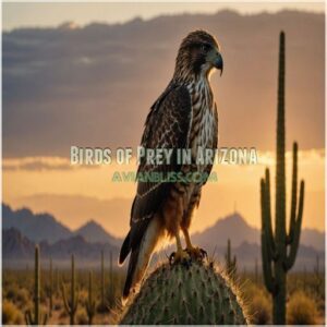 Birds of Prey in Arizona