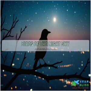 Birds of The Night Sky