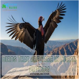 Birds That Are Rare in North America