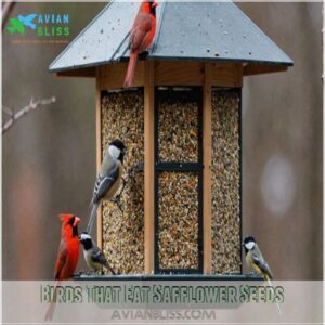 Birds That Eat Safflower Seeds