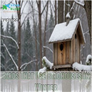 Birds That Use Birdhouses in Winter