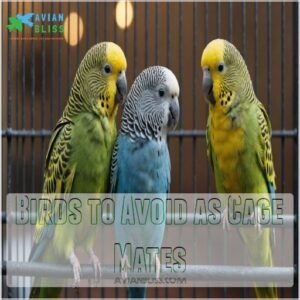 Birds to Avoid as Cage Mates