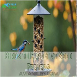 Birds to Expect at Seed Feeders