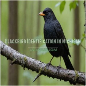 Blackbird Identification in Michigan