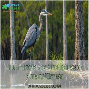 Blue Herons and Kingfishers of Florida Waters