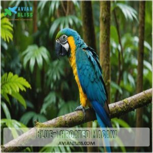 Blue-Throated Macaw