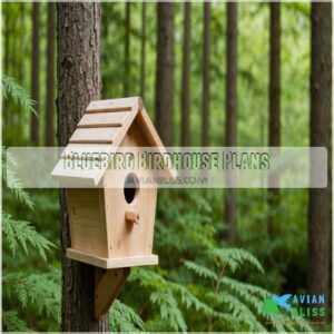 Bluebird Birdhouse Plans