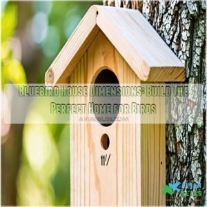 bluebird house dimensions