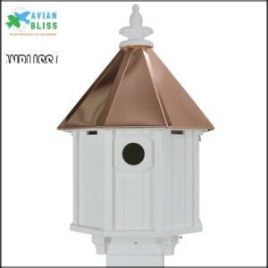 Bluebird Songbird Duplex Bird House,