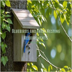 Bluebirds and Their Nesting Requirements