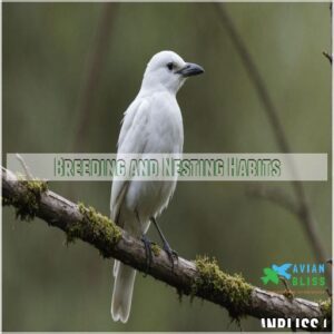 Breeding and Nesting Habits