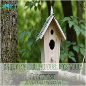 Building a Birdhouse for Your Backyard