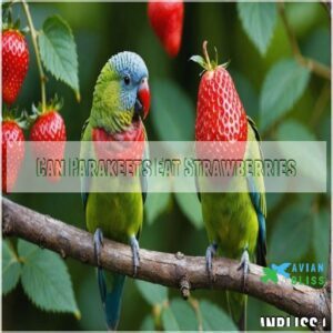 Can Parakeets Eat Strawberries