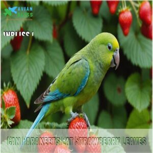 Can Parakeets Eat Strawberry Leaves