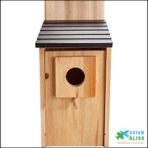 CARTMAN Blue Bird Box House,