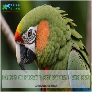 Causes of Parrot Respiratory Problems